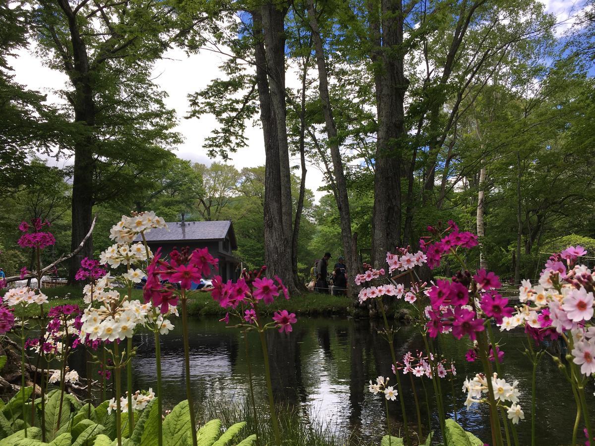 Little Forest Inn Никко Экстерьер фото